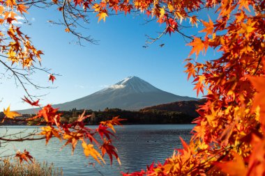 Kawaguchiko Gölü 'nden Fuji Dağı' nın sonbahar sabahı manzarası