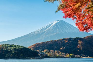 Kawaguchiko Gölü 'nde Fuji Dağı' nı çerçeveleyen kırmızı akçaağaç ağaçları