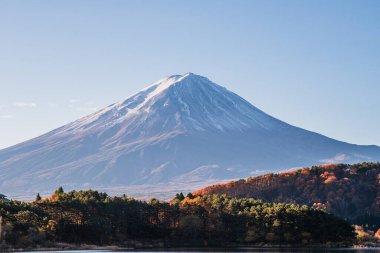 Japonya 'da sonbahar renkleriyle Fuji Dağı manzarası