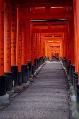 Fushimi Inari torii kapılarından gün doğumu parlıyor