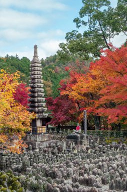 Kyoto 'daki geleneksel Budist tapınak mimarisi