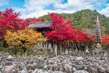 Japonya 'daki antik bir Budist tapınağının manzarası.