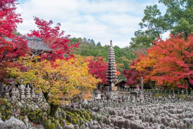 Budist tapınağı görünümlü Japon mirası