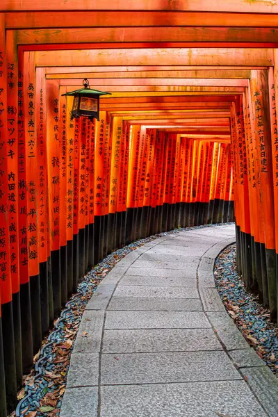 Fushimi Inari 'nin torii tünelinde sakin bir şafak vakti