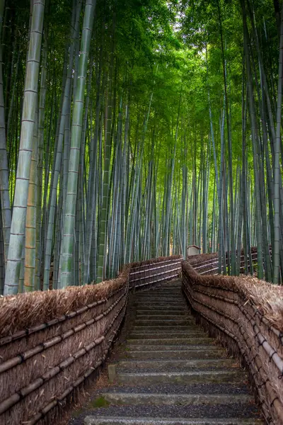 Adashino Nenbutsuji Tapınağı yakınlarındaki Bambu orman yolu.