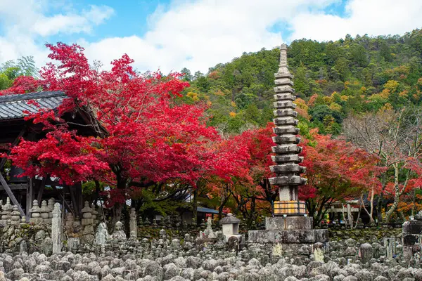 Japonya 'daki antik tapınağın barışçıl manzarası