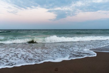 Yumuşak okyanus dalgalarıyla huzurlu deniz manzarası pastel günbatımında kumlu sahilde köpük oluşturarak doğal kıyı güzelliğini yakalıyor..