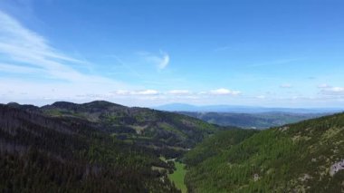 Polonya 'nın Zakopane kenti yakınlarındaki Tatra Ulusal Parkı' ndaki manzaralı bir vadide insansız hava aracı uçuşu. Ormanlar, dağlar ve mavi gökyüzüyle göz kamaştırıcı bahar manzarası. Seyahat ve doğa görüntüleri için mükemmel..