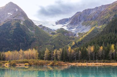 Alaska wilderness landscape with glacier, water reflection, and autumn forest. Glacier and Forest Reflected in Lake, Chugach Mountains, Alaska. Wild nature of Alaska. Remote nature