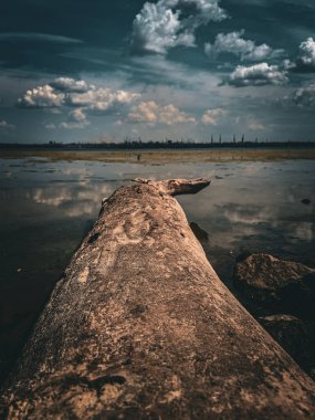 Nehir kıyısında kuru bir ağaç gövdesi, dramatik bulutlu gökyüzü ve endüstriyel ufuk, sanatsal arka plan.