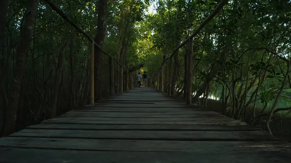 New Buswang, Kalibo, Aklan, Filipinler 'deki Mangrove Ormanı' ndaki ahşap patikanın fotoğrafı..