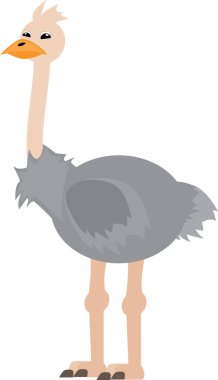 Bir devekuşunun vektör sanatı.