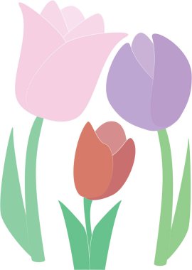 Lale çiçeklerinin vektör sanatı.