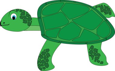Bir kaplumbağa vektör sanatı.