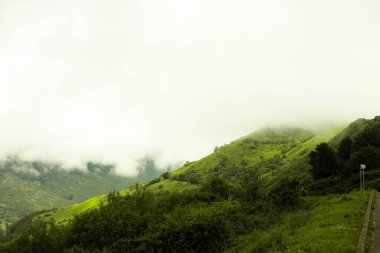 Yoğun sis ve doğa zeminiyle kaplı yeşil dağların manzarası