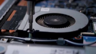 Laptop repair. The screwdriver rotates the bolt. Close-up of electronics. High quality FullHD footage