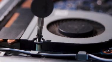 Laptop repair. The screwdriver rotates the bolt. Close-up of electronics. High quality FullHD footage