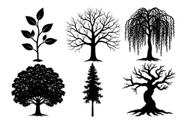 Siyahlar içinde sunulmuş altı farklı ağaç silueti. Özellikleri arasında yaprakları olan genç bir fidan yapraklı bir yaprak döken ağaç, ağlayan bir söğüt ağacı dolu yapraklı bir ağaç bir çam ağacı ve eğri büğrü bir kadim ağaç var..