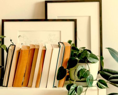 Kitaplar ve saksılar masanın üstünde.