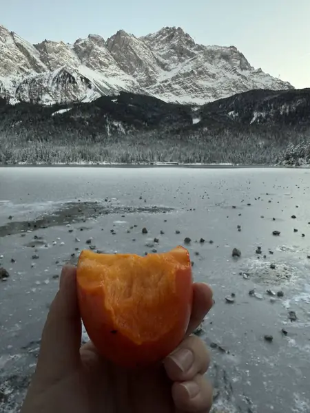 Arka planda buz ve kar olan kırmızı biber.