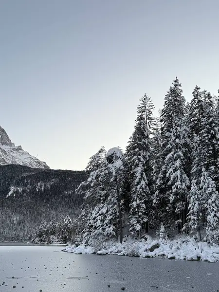 Karlı güzel kış manzarası