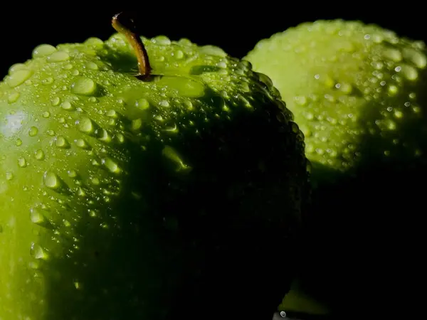 su damlaları ile taze yeşil elma