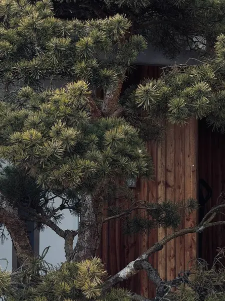 Parkın güzel manzarası