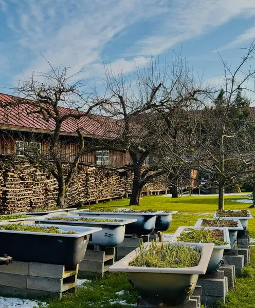 Şehrin güzel manzarası