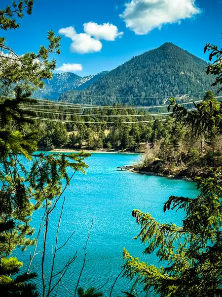 Güzel göl manzarası