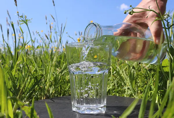Serinletici bir yaz sahnesi, bardağa dökülen suyla, içerideki papatya çiçeğini yakalıyor, berrak mavi gökyüzünün altında canlı yeşil bir çayıra kuruluyor..
