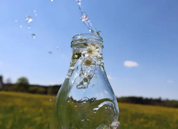 İçi papatya dolu cam bir şişeden su sıçrıyor, mavi gökyüzüne karşı kurulmuş ve hayat dolu sarı bir çiçek tarlası, yaz mevsiminin ferahlatıcı hissini yakalıyor..