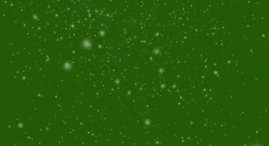 Yeşil ekran 3D üzerinde yalıtılmış kar... düşen kar yeşil üzerinde izole edilmiş (4k + Chroma anahtarı)).