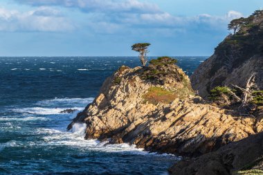 Büyük kaya oluşumunun tepesinde yalnız Kaliforniya Cypress ağacı. Point Lobos Doğa Koruma Alanı, Monterey California. Pasifik Okyanusu, mavi gökyüzü ve bulutlar. 
