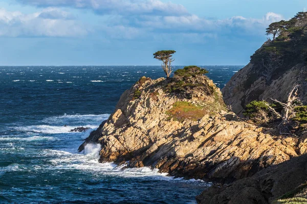 Büyük kaya oluşumunun tepesinde yalnız Kaliforniya Cypress ağacı. Point Lobos Doğa Koruma Alanı, Monterey California. Pasifik Okyanusu, mavi gökyüzü ve bulutlar. 