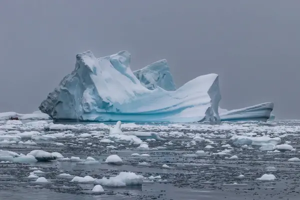 Айсберг Голубым Белым Льдом Районе Антарктического Полуострова Снежное Серое Небо — стоковое фото