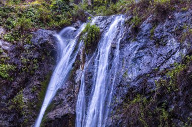 Pfeiffer Şelalesi, Pfeiffer Big Sur Eyalet Parkı 'nda. Yeşil bitki örtüsü kayalık yüzlere yapışıyor.. 