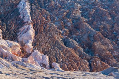 Death Valley Ulusal Parkı 'nda renkli ve yıpranmış bir tepe. Su akıntısının yol açtığı izler ve yarıklar. Soluk pembe kaya oluşumu; yamaç küçük sarı çöl çalıları ile doludur.. 