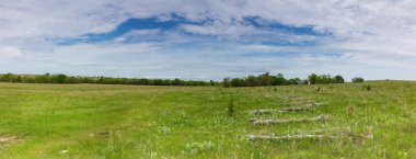 Açık tarım arazisi, Aurora, Kansas. Yeşil alanlar; yukarıdaki bulutlu mavi gökyüzü. Uzaktaki ağaçlar. 