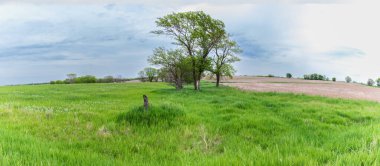 Panorama of Kansas farmland, Colfax Township, Cloud County, Kansas. Green grass in field, another field prepared for planting. Trees in distance; cloudy sky. clipart