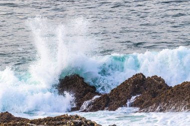 Kaliforniya, Morro Körfezi yakınlarındaki kayalık sahilde dalga kırılması. Havaya püskürtülmüş. Arka planda Pasifik Okyanusu. 