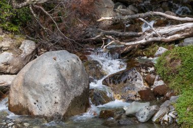 Ushuaia, Arjantin 'in hemen dışındaki Tierra del Fuego tepelerindeki dağ deresi. Kayalar, dallar ve çağlayan suyu çevreleyen yeşil çimenler. 