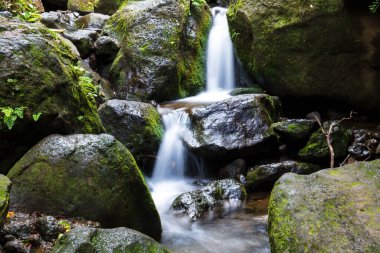 Lulumahu Şelalesi 'nin hemen aşağısında, Ohau Adası' nda Honolulu yakınlarında çağlayan şelale. Etrafı yemyeşil büyüme ve kayalık arazilerle çevrili.