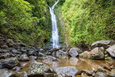 Şelale, Lulumahu Oahu, Hawaii 'ye düşüyor. Yemyeşil yapraklar arasında çağlayan sular, tabanındaki kayalarla çevrili havuz.. 
