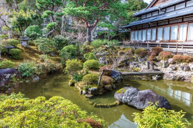 Japonya, Nara 'daki Yoskhikien Bahçesi' nde yemyeşil bir gölet.. 