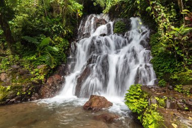 Jembong Şelalesi, Nothe Bali, Endonezya. Aşağıdaki kayaların üzerinden akan su, her iki taraftaki yemyeşil bitki örtüsü.. 