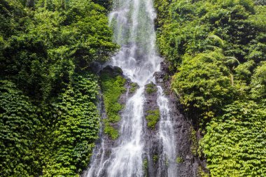 Sekumpul Şelalesi, Kuzey Bali, Endonezya 'ya yakın. Kayaların üzerinde çağlayan su, her iki tarafında yemyeşil bitki örtüsü. 