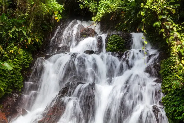 Yakın plan, Jembong şelalesi, Nothe Bali, Endonezya. Kayaların üzerinde çağlayan su; her iki tarafta yemyeşil bitki örtüsü. 