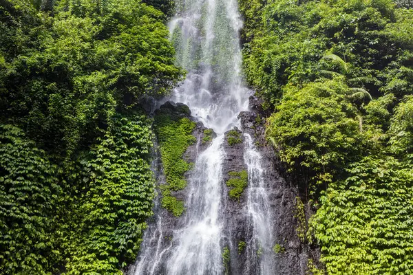 Sekumpul Şelalesi, Kuzey Bali, Endonezya 'ya yakın. Kayaların üzerinde çağlayan su, her iki tarafında yemyeşil bitki örtüsü. 