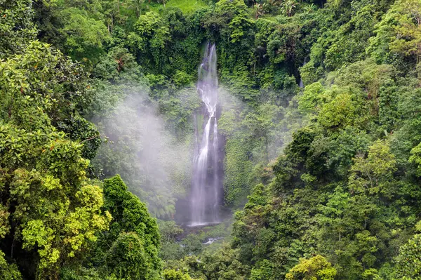 Sekumpul Şelalesi 'ndeki şelalelerden biri, kuzey Bali, Endonezya. Sudan yükselen sis, yemyeşil uçurumlarla çevrili..