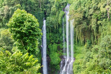 Sekumpul Şelalesi 'nde üç şelale, Kuzey Bali, Endonezya. Su sarp kayalıklardan aşağı süzülüyor, yemyeşil orman bitkileriyle kaplı..